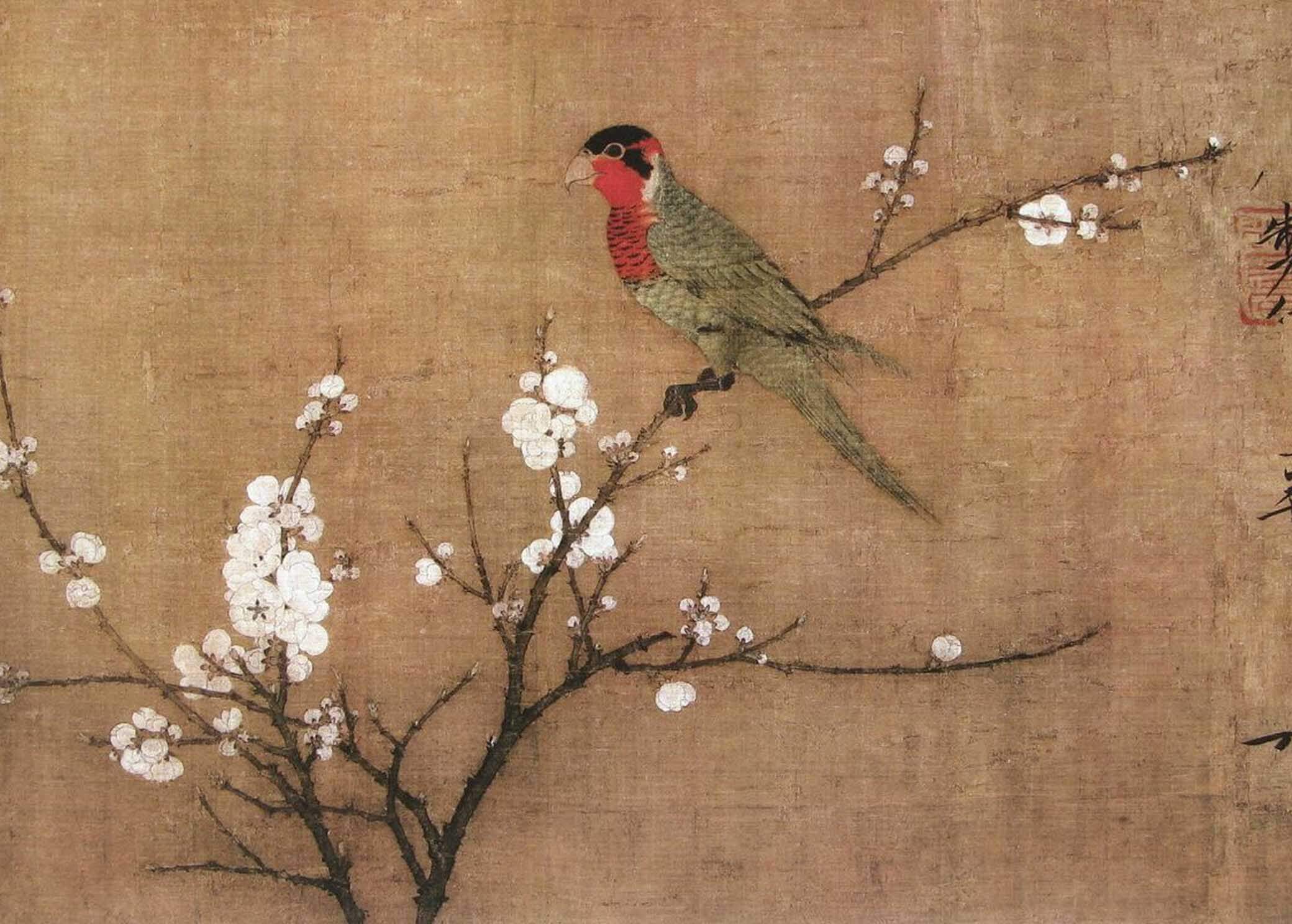 Five Colored Parakeet On Blossomi