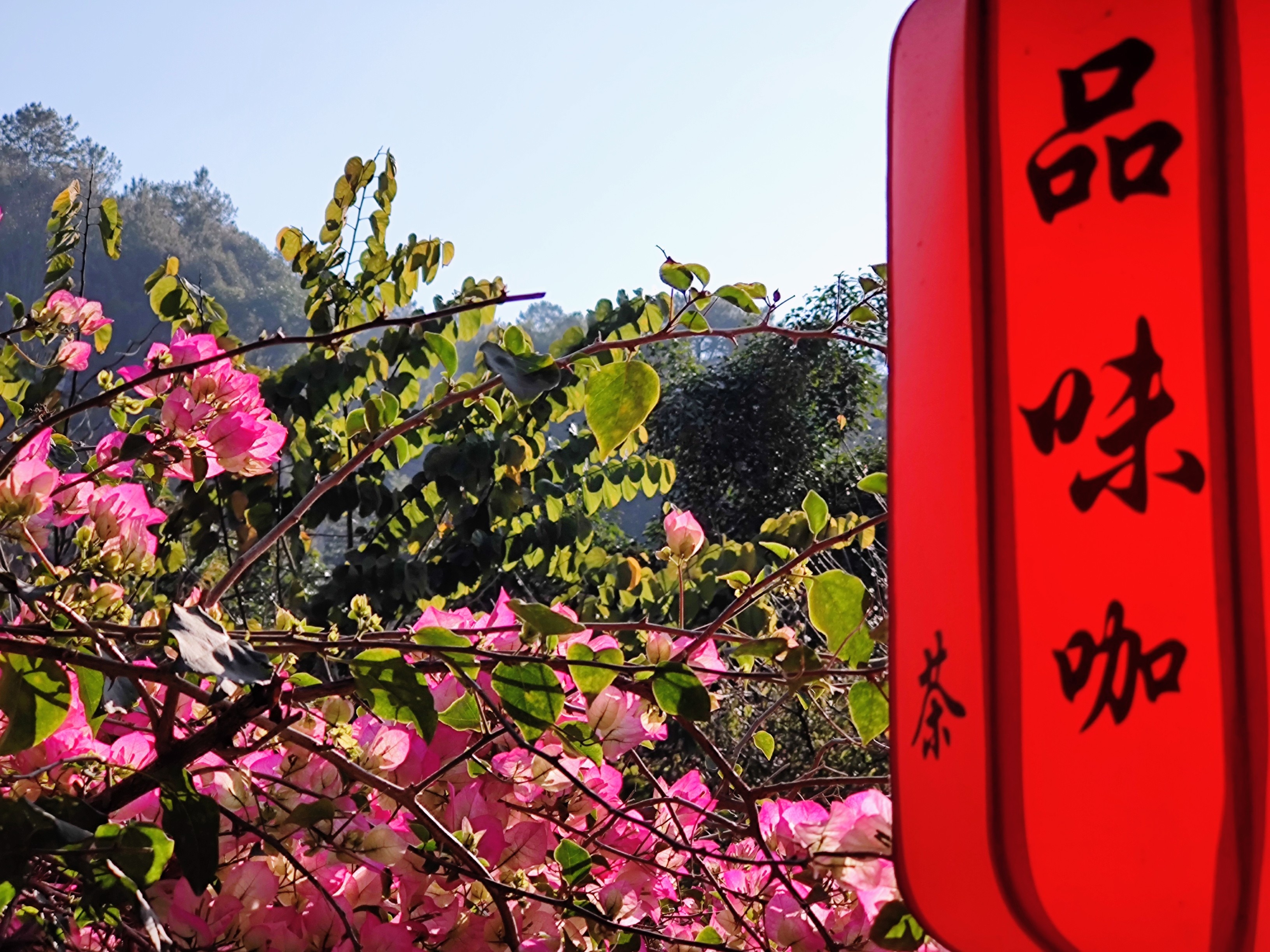 Lushi, Lincang, Nakeli