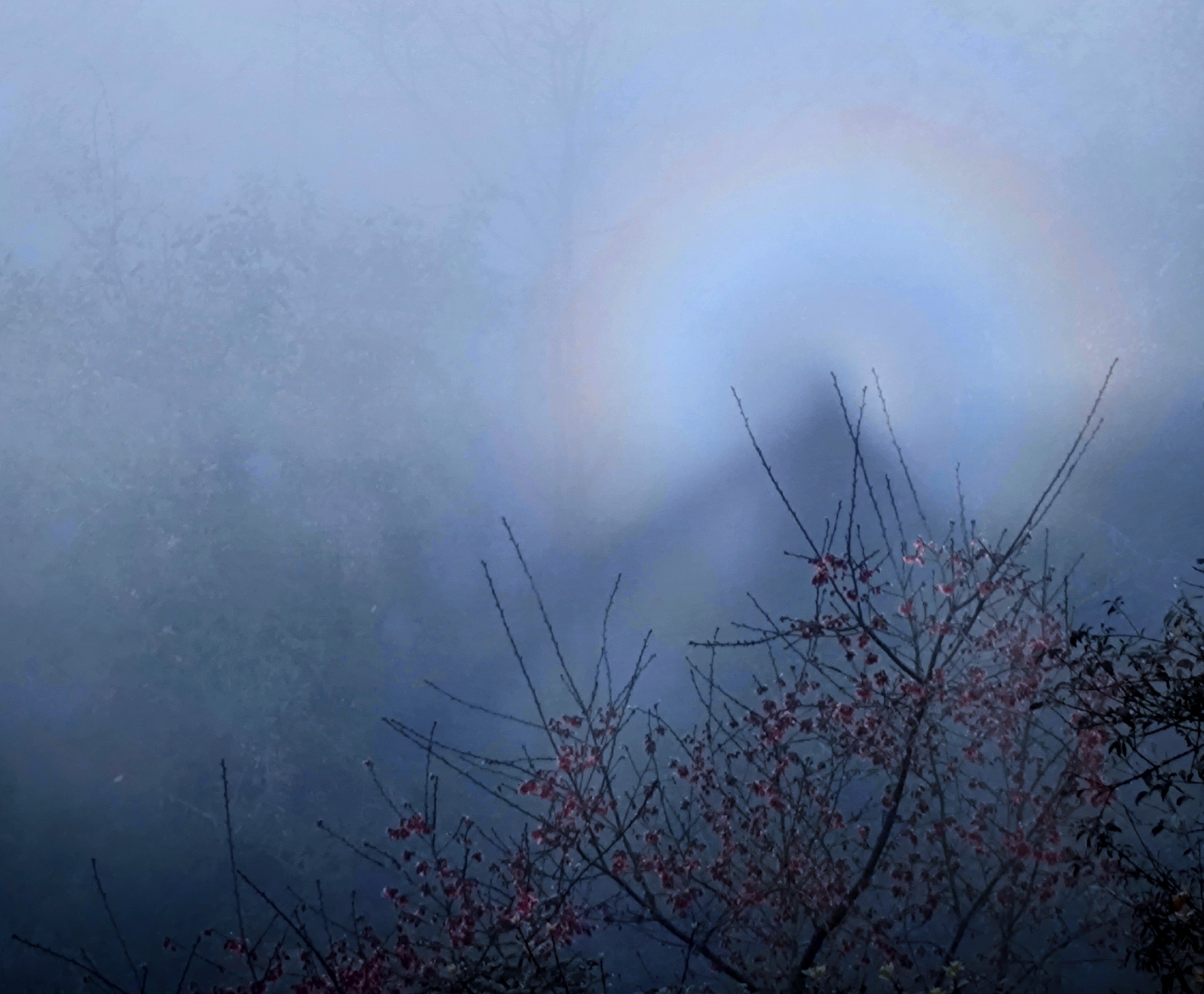 Buddhas Light and Other Joy
